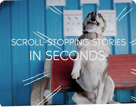 Scroll-Stopping Stories