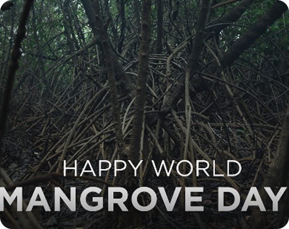 Happy World Mangrove Day